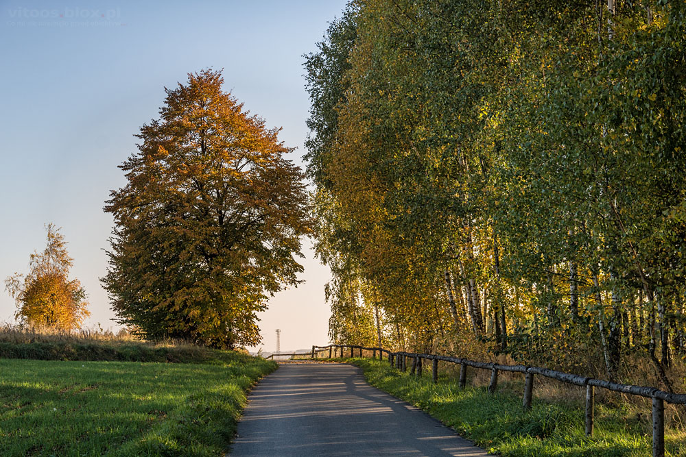 Fot. Witold Ochał, Pstrągowa, jesień