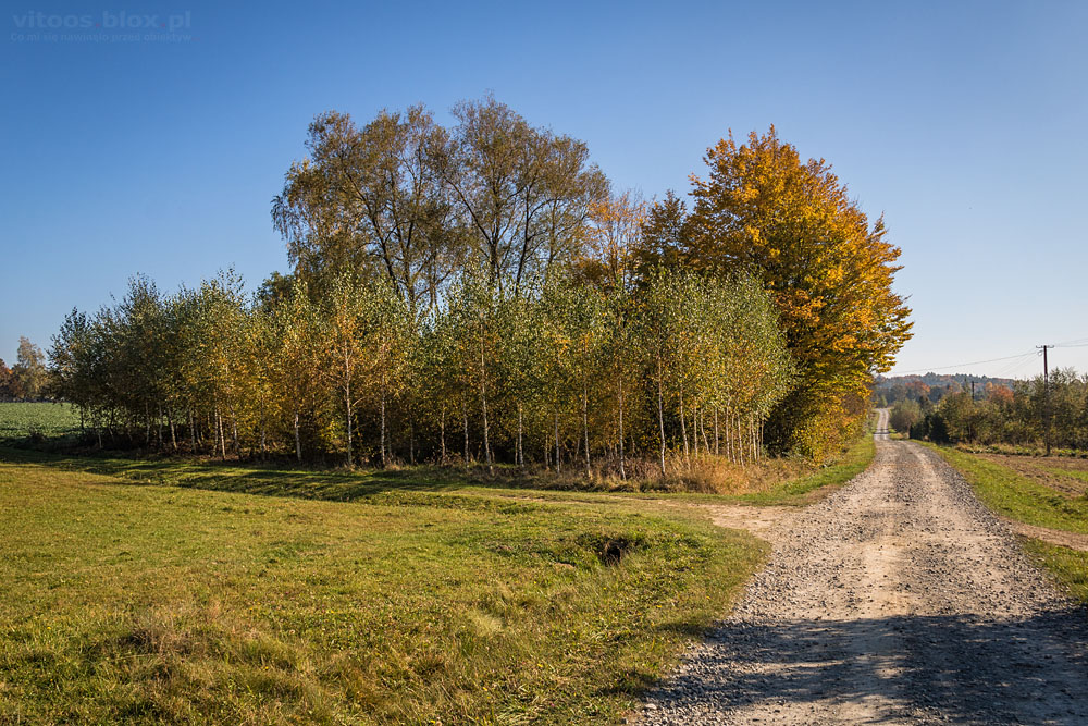 Fot. Witold Ochał, Pstrągowa, jesień