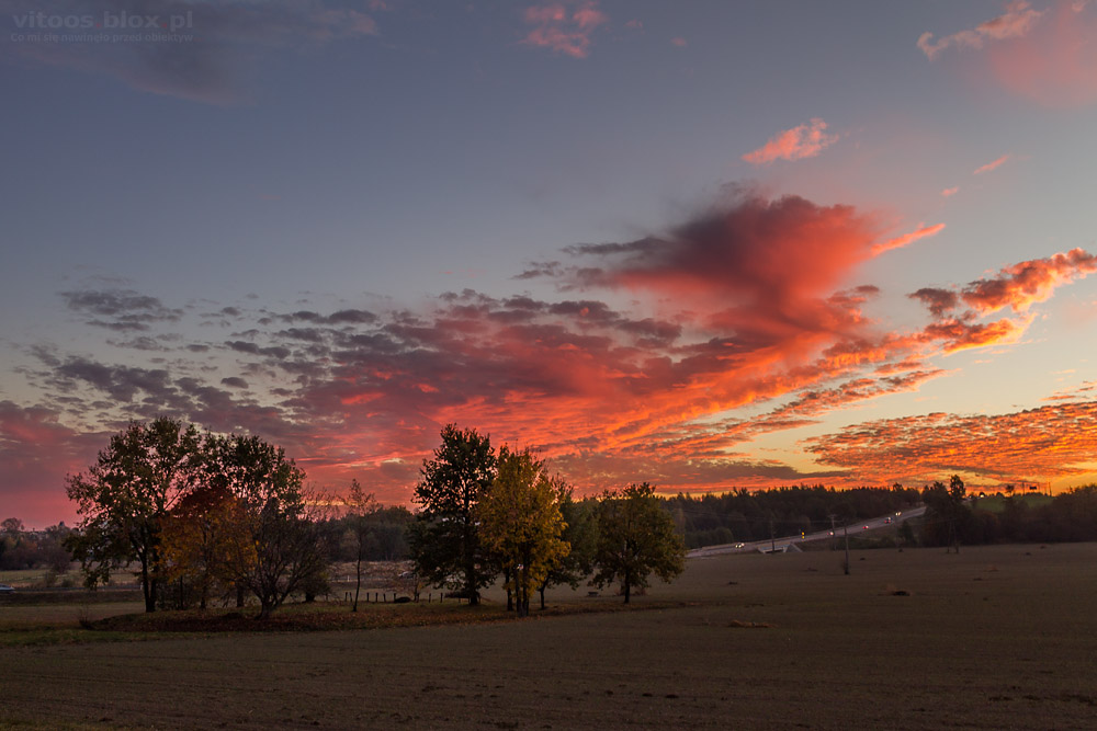 Fot. Witold Ochał, cumulus floccus virga