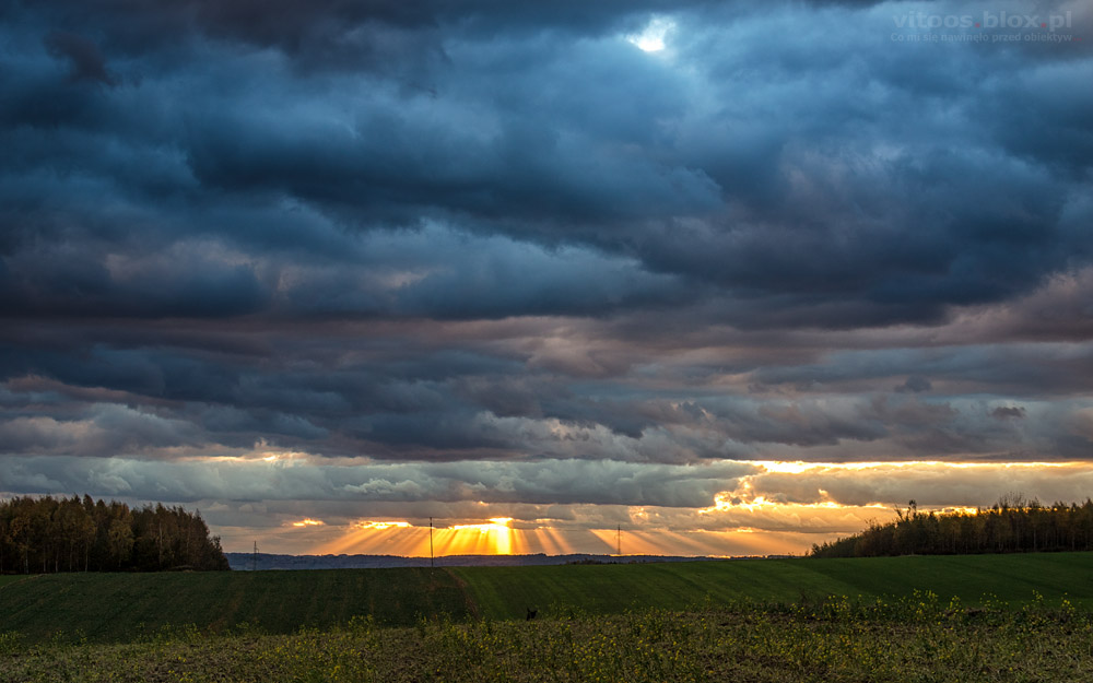 Fot. Witold Ochał, Nockowa