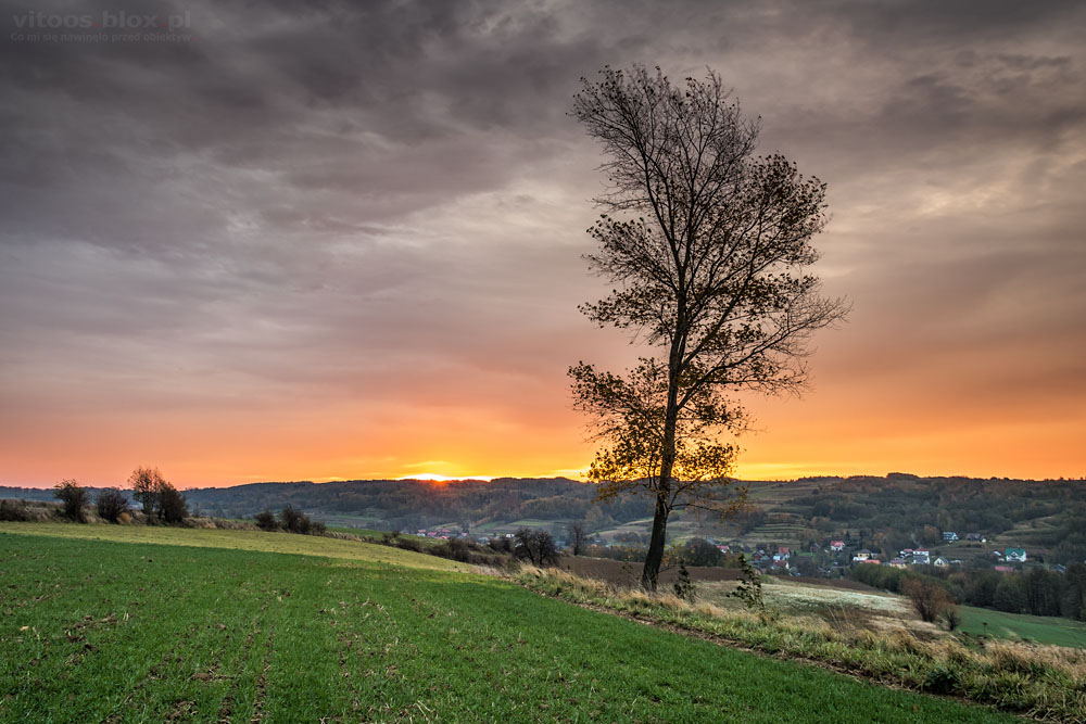 Fot. Witold Ochał, Zagorzyce jesień
