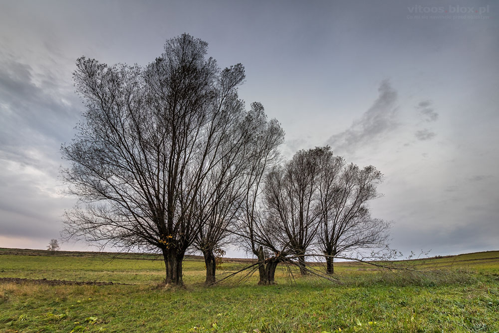 Fot. Witold Ochał, Zagorzyce jesień