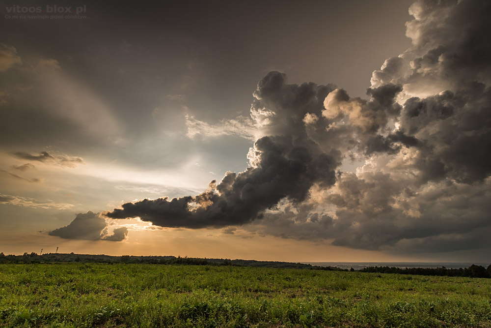 Fot. Witold Ochał, zachód słońca, Trzciana