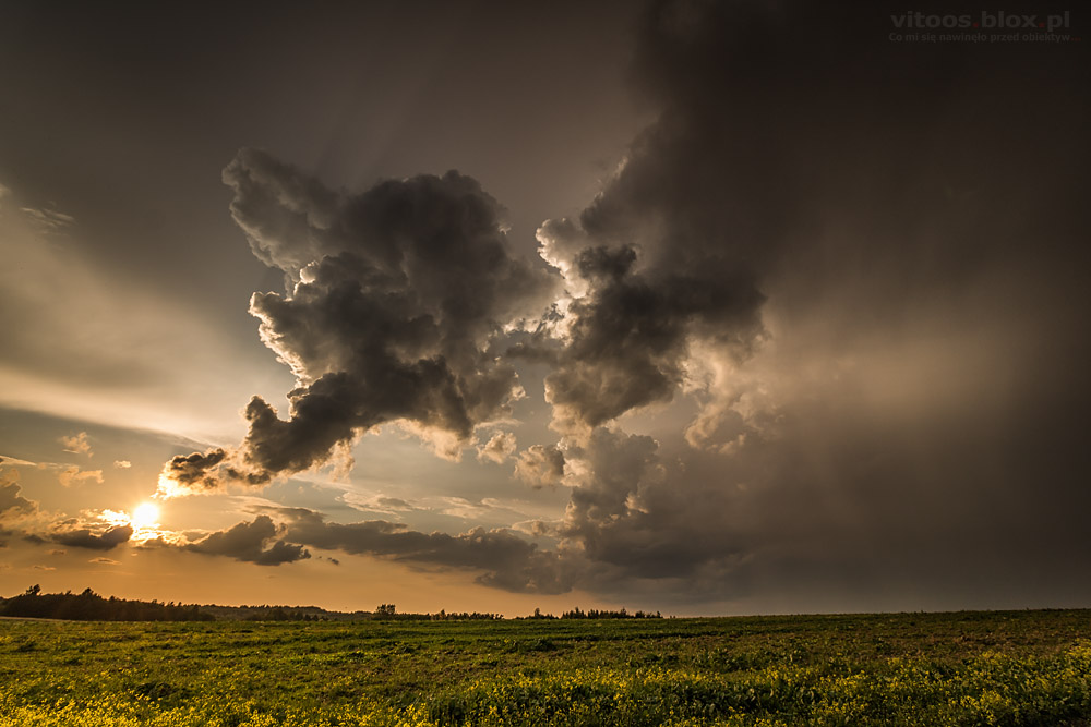 Fot. Witold Ochał, zachód słońca, Trzciana