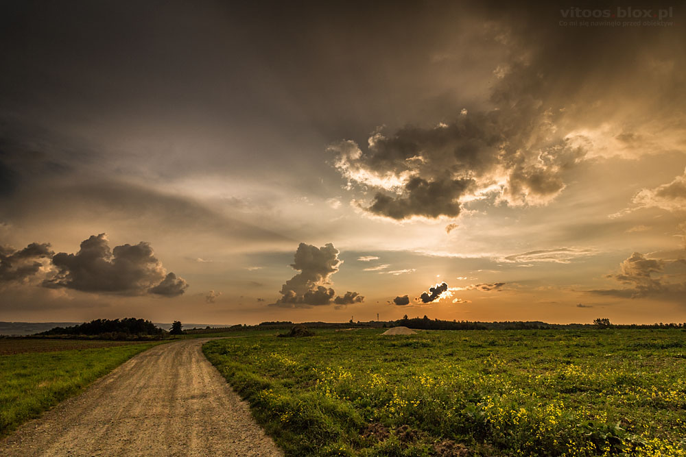 Fot. Witold Ochał, zachód słońca, Trzciana