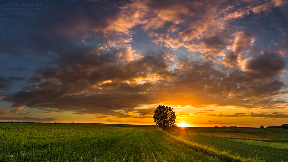 Fot. Witold Ochał, Zagorzyca, zachód słońca