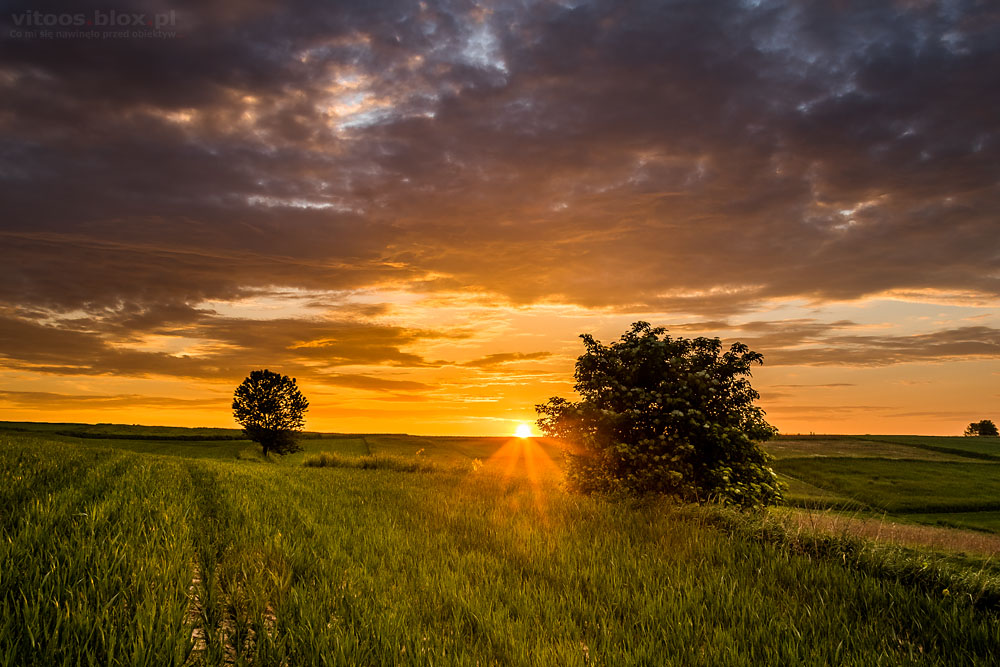 Fot. Witold Ochał, Zagorzyca, zachód słońca