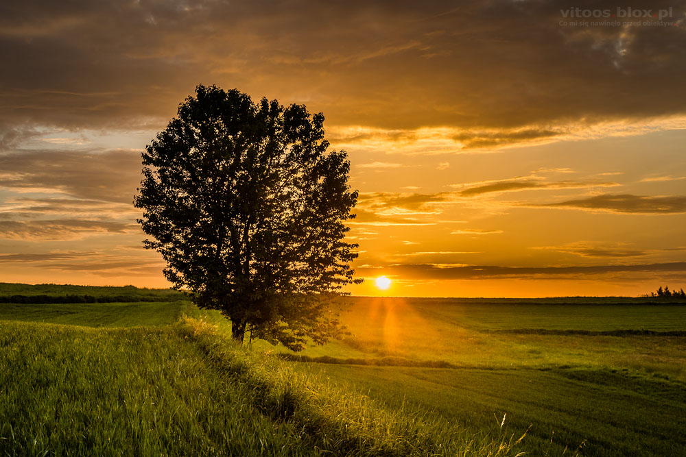 Fot. Witold Ochał, Zagorzyca, zachód słońca