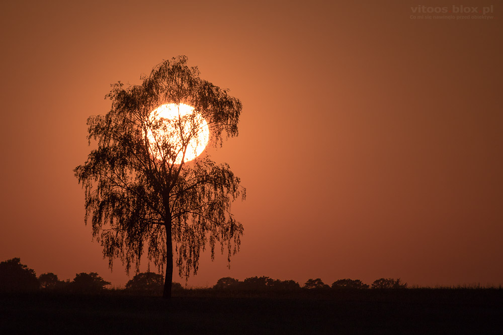 Fot. Witold Ochał, Sędziszów Młp