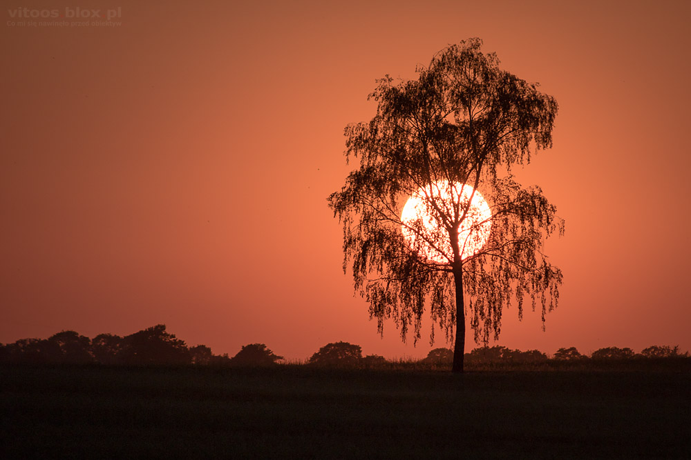 Fot. Witold Ochał, Sędziszów Młp