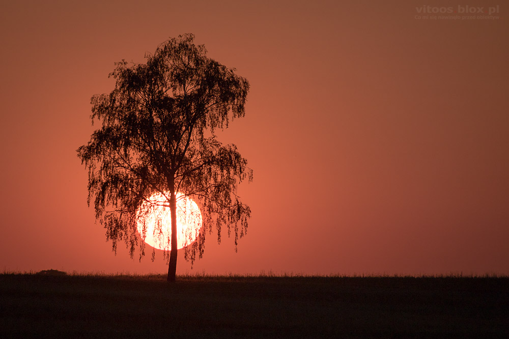 Fot. Witold Ochał, Sędziszów Młp