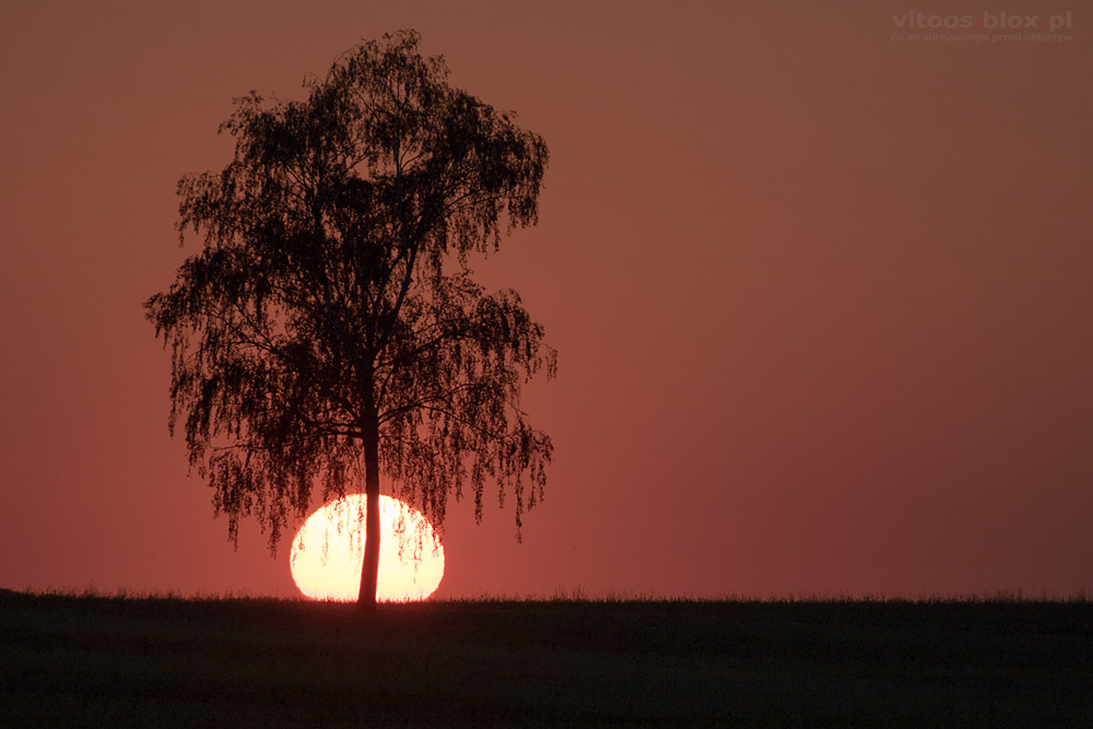 Fot. Witold Ochał, Sędziszów Młp
