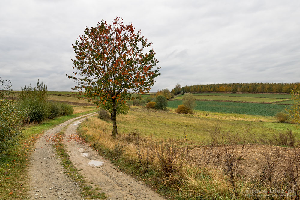 ot. Witold Ochał, jesien na wsi, Zagorzyce