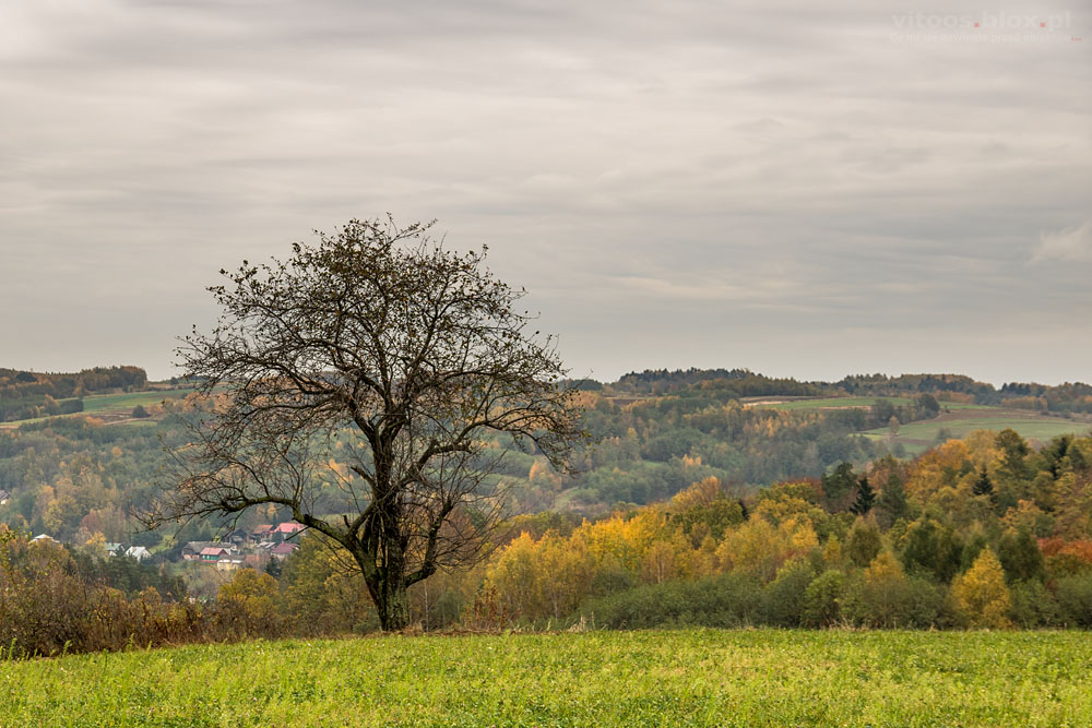 ot. Witold Ochał, jesien na wsi, Zagorzyce