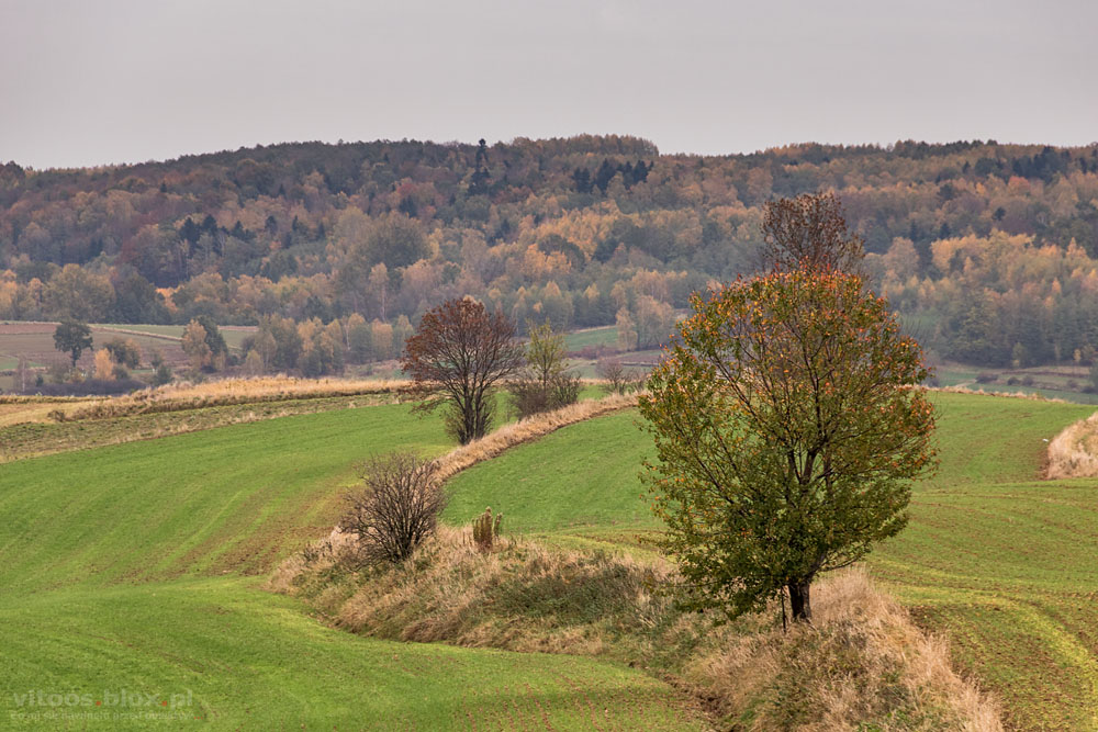 ot. Witold Ochał, jesien na wsi, Zagorzyce