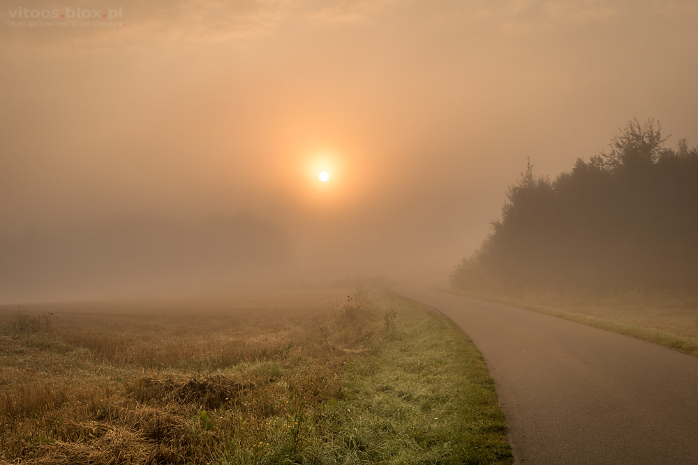 Fot. Witold Ochał, mgła