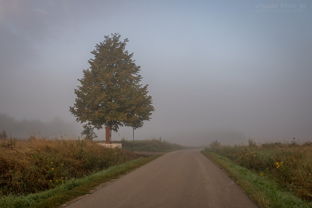 Fot. Witold Ochał, mgła