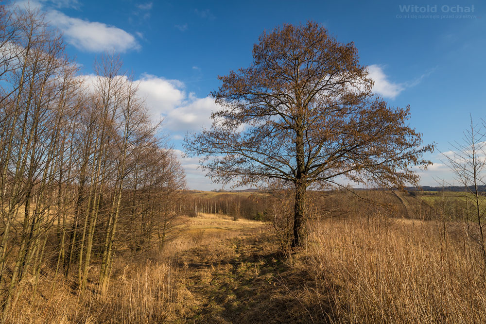 Fot. Witold Ochał, Zagorzyce, wczesnojesienny krajobraz