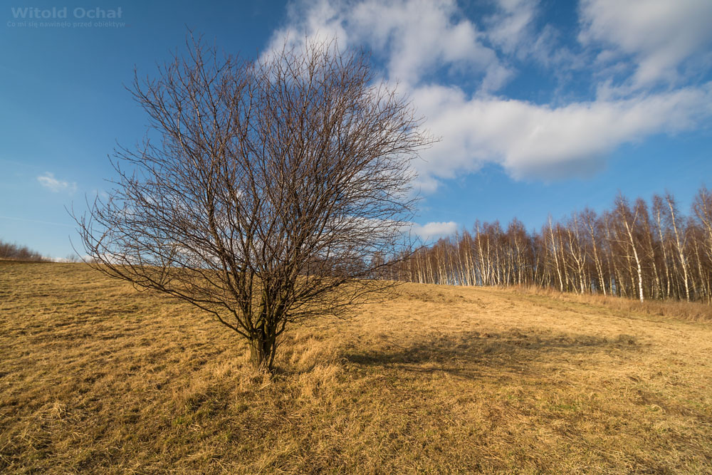 Fot. Witold Ochał, Zagorzyce, wczesnojesienny krajobraz